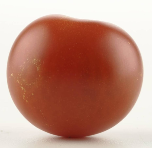 Felipe Rau/Estadão Tomate cereja.