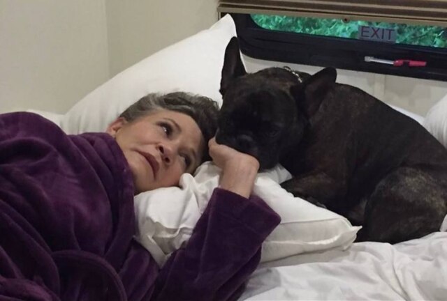Instagram / @garyfisher Gary Fisher sente saudades de sua dona, Carrie Fisher