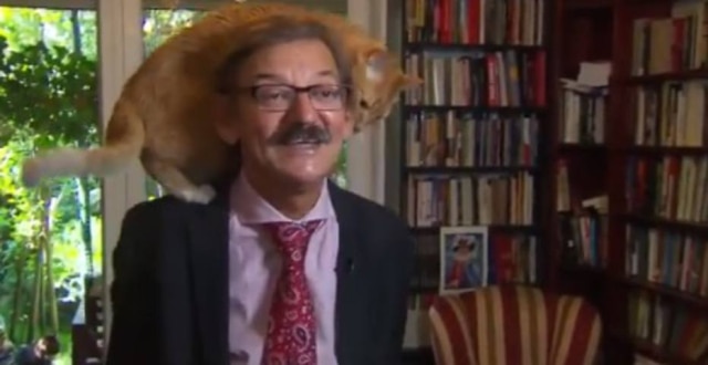 Twitter / @rudybouma Lisio, o felino, invadiu a entrevista enquanto seu tutor falava ao vivo para um canal holandês.