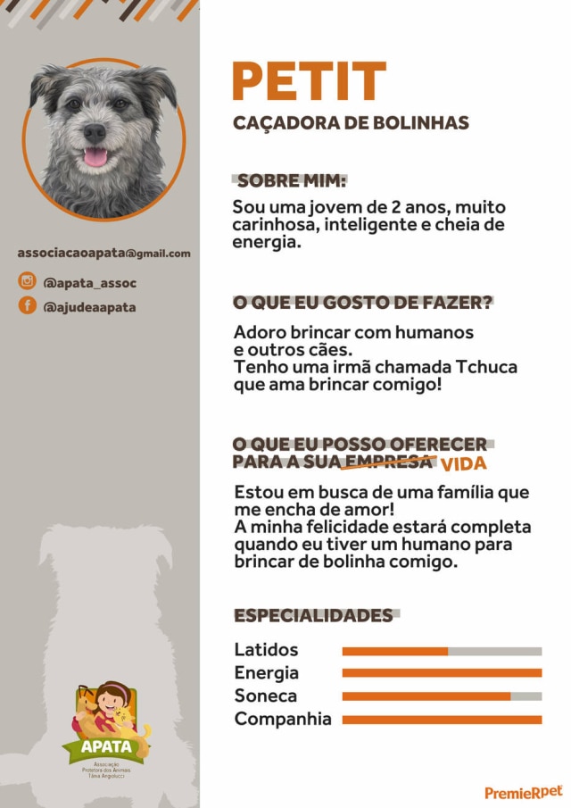 PremieRpet Petit, uma cadela resgatada pela ONG APATA