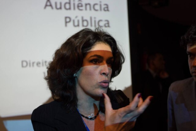 Ed Ferreira / Estadão Paula Lavigne em audiência pública no STF