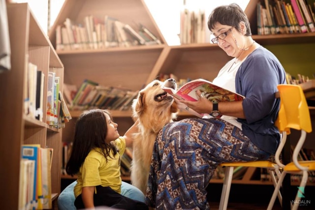 Maria Cristina Nadalin / imagem cedida pelo fotógrafo A fotógrafa Maria Cristina Nadalin, de Curitiba (PR) ficou em segundo lugar na categoria 'Cães de assistência' do The Kennel Club Dog Photographer of the Year 2018, realizado no Reino Unido.