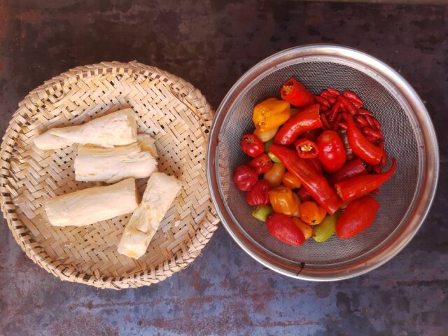 Neide Rigo Receita, que varia nos diferentes cantos da Amazônia, tem base de mandioca e pimentas.