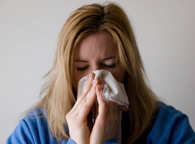 Pixabay/Mojpe Uma nova linhagem da Influenza A, o H3N2, está preocupando os médicos brasileiros após causar milhares de mortes na América do Norte