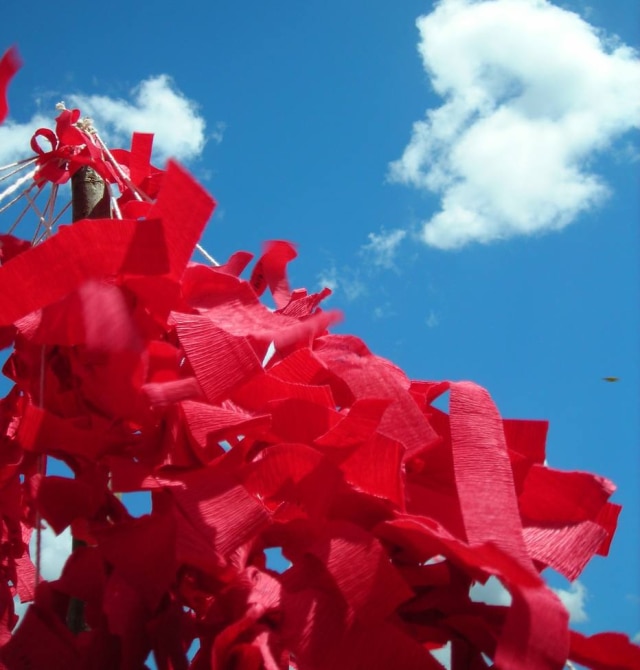 Subdahip Mukherjee / FreeImages Ações, que fazem parte do Dezembro Vermelho, trabalham com identificação, prevenção e informações acerca do Aids e outras ISTs