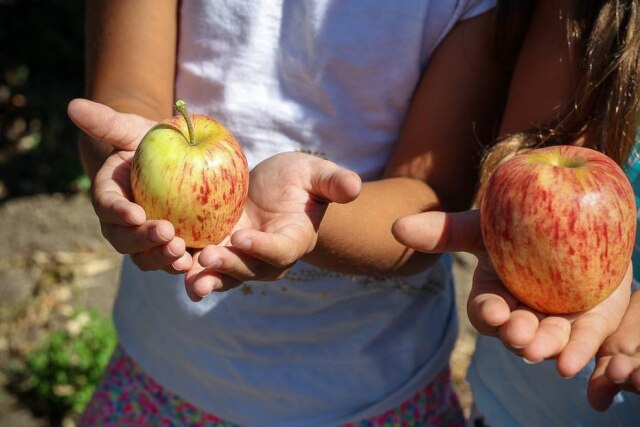 Pixabay Prestar atenção detalhadamente no alimento que se come faz parte de uma técnica chamada mindful eating e também pode ser realizada com a criançada.