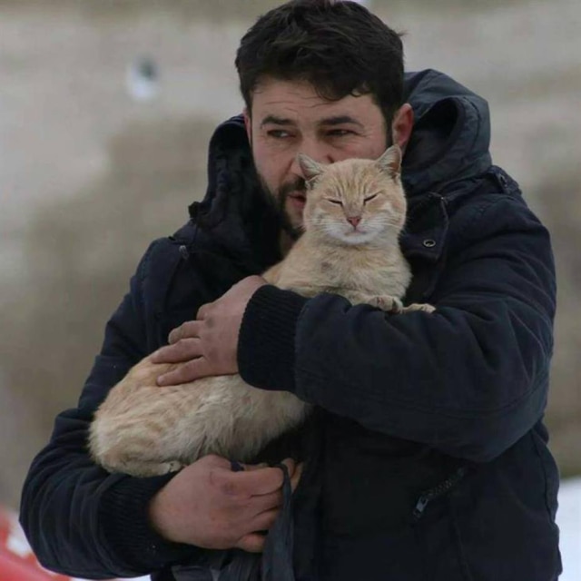 Reprodução Paramédico criou santuário para gatos