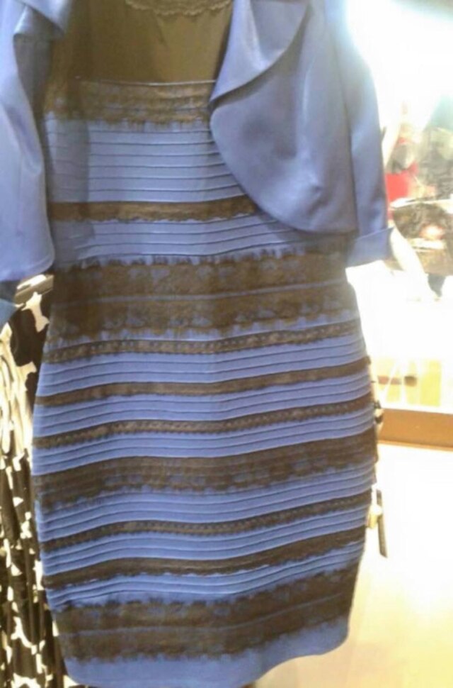 Reprodução Branco e dourado ou preto e azul?
