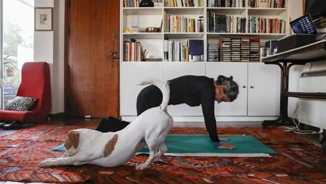 Christina Assi / AFP Atividades físicas: mulher participa de aulas online de pilates, acompanhada de seu cachorro, durante quarentena, em Chipre