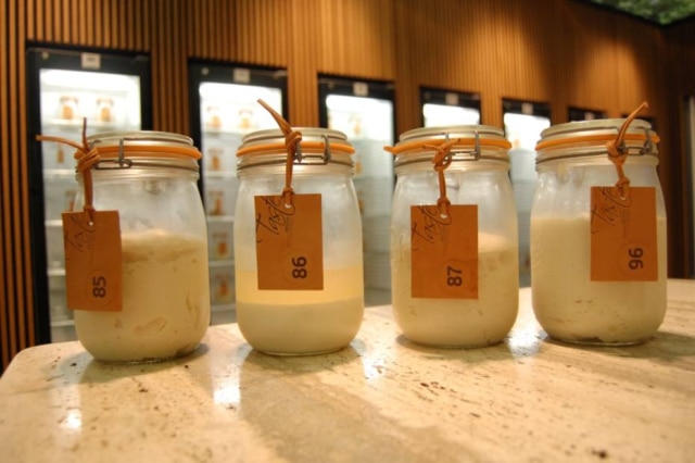 Biblioteca da Massa Madre/Puratos Do Brasil: Cepam, Benjamin, Brico Bread e Basilicata