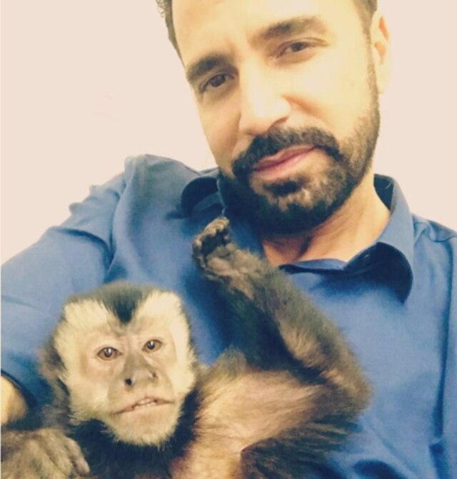 Instagram.com/latino Latino e o macaco Twelves, estrela do Instagram do cantor.