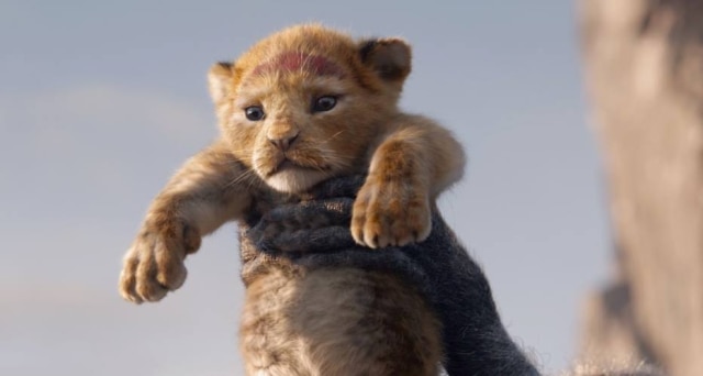 Twitter/Disney Live-action de 'O Rei Leão' estreia em julho de 2019.