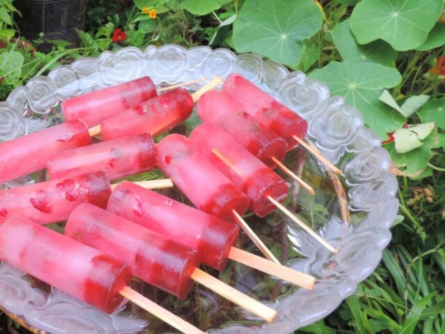 Neide Rigo|Estadão O chá no palito. Receita de picolé de gerânio com rosa.
