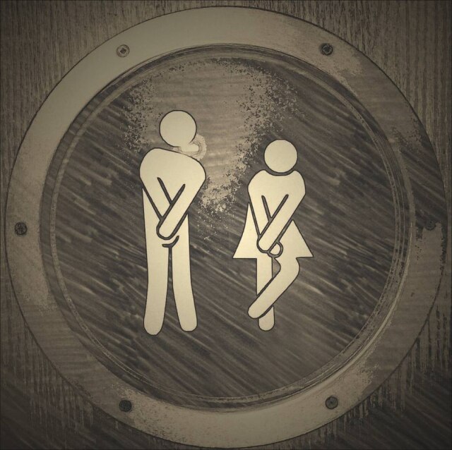 Pixabay/ Lumpi Os problemas urinários afetam mais as mulheres no Brasil