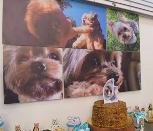 Instagram/@xuxamenegheloficial A apresentadora Xuxa e seu cãozinho Dudu.