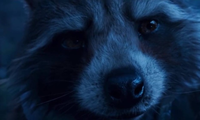 Reprodução de 'Guardiões da Galáxia' (2015) / Marvel Studios Rocket Raccoon, de 'Guardiões da Galáxia'.