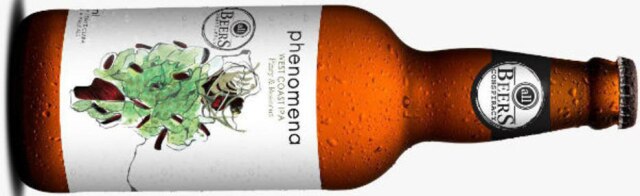 All Beers Cerveja All beers Phenomena