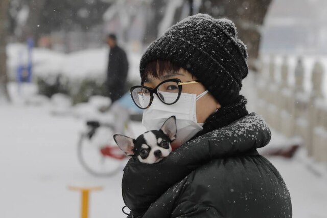 Wu Hong / EFE / EPA Uma mulher leva o seu cachorro dentro das roupas para mantê-lo aquecido no inverno chinês