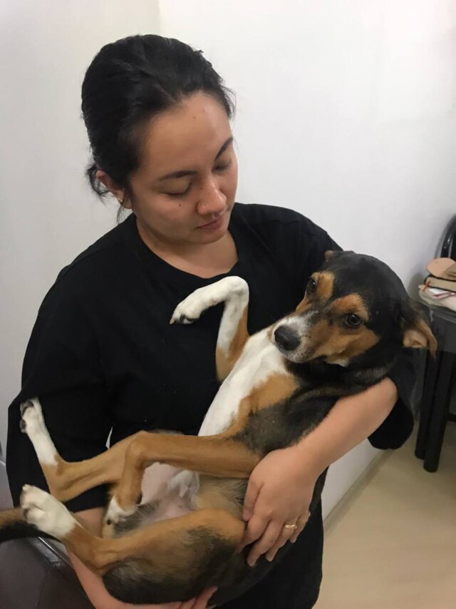 Arquivo pessoal Karoline Kawamura e seu cãozinho Mocha