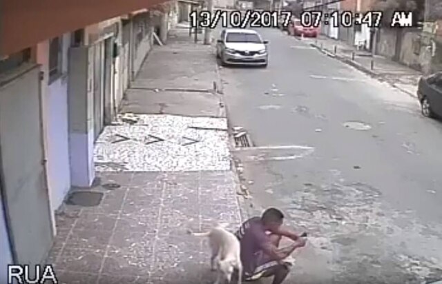 Reprodução / Banana e Feijoada Rapaz disse que foi alvo de críticas ao tentar chutar animal