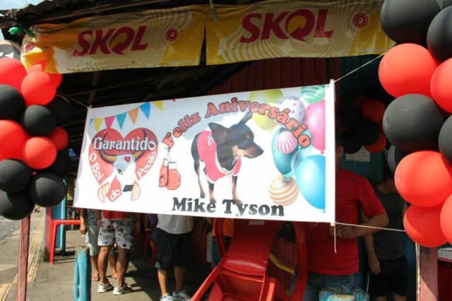 Arquivo Pessoal / Rui Barbosa Aniversário do cãozinho Mike Tyson