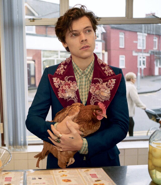 Glen Luchford/ cortesia Gucci Harry Styles, com uma galinha de estimação, na campanha da alfaiataria da Gucci