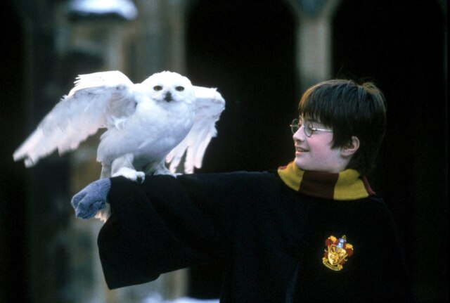 Warner Bros./Divulgação Daniel Radcliffe em cena de 'Harry Potter e a Pedra Filosofal'.