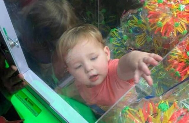 Facebook/kelseymingersoll Ezra Ingersoll entrou no aparelho sem que a mãe percebesse.