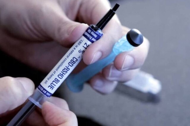 Divulgação A maconha possui diversos princípios ativos, entre eles o THC e o CBD, que auxiliam em tratamentos de doenças e aliviam dores.