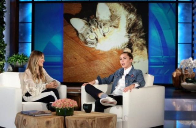 Reprodução/Twitter Miley Cyrus substitui Ellen DeGeneres no Ellen Show.