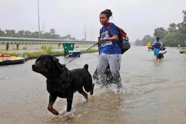 Jonathan Bachman / Reuters Destyn Scales e seu cão, Dexter