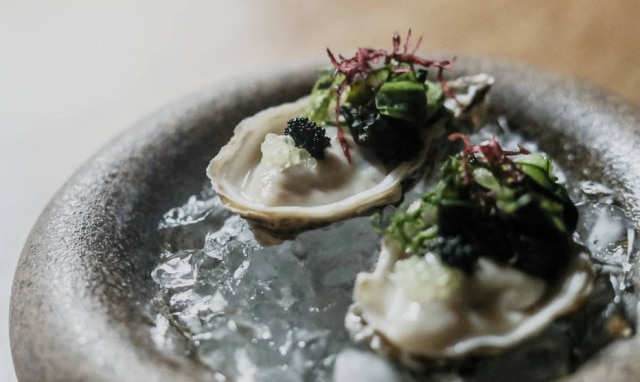 Prato de Telma Shiraishi, do Aizomê: ostra com algas, capelin e limão-caviar