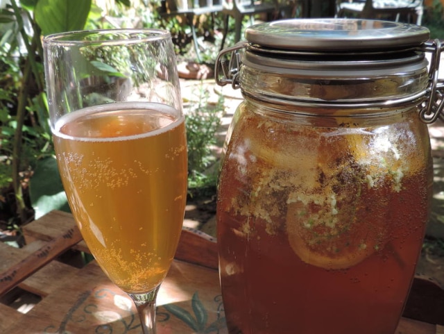 Neide Rigo/Estadão Kombucha de mate e sabor flor de sabugueiro