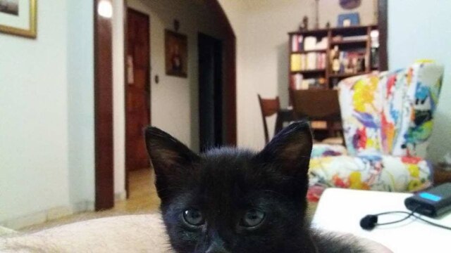 Arquivo pessoal/Renato Paganini Nero já foi quase roubado outras duas vezes, segundo o padre