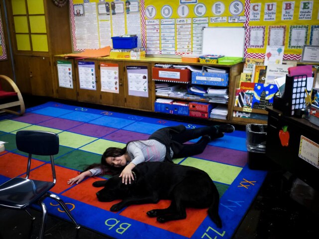 John Taggart/The New York Times Brianna Celaya com Jumah, cão que trabalha na Primary School 200, em Nova York
