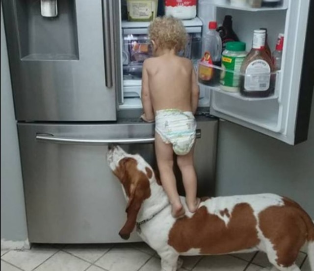 Facebook/ rob.herbert.5439 Criança queria chegar até a geladeira para pegar comida