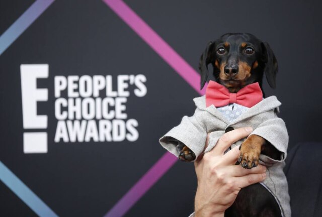REUTERS/Danny Moloshok Crusoe passou pelo tapete vermelho do People's Choice Awards 2018.