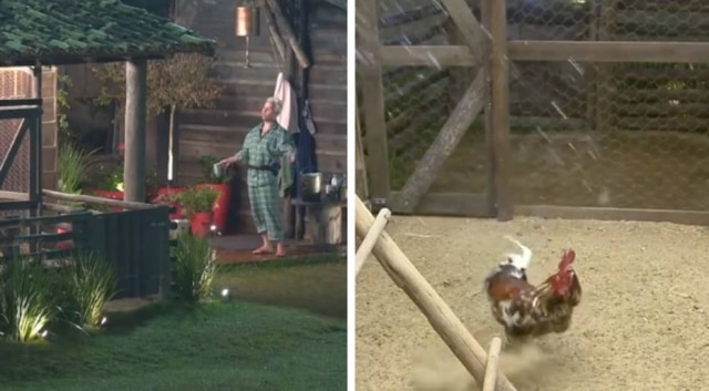 Reprodução de 'A Fazenda' (2019) / Record TV Viny Vieira joga água em galo em 'A Fazenda'