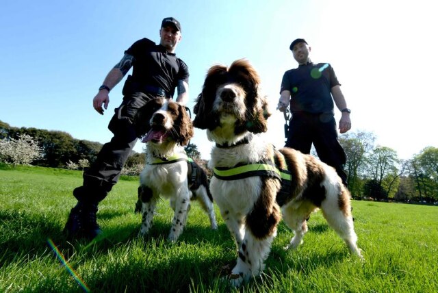 Geoff Pugh / AFP Photo Os policiais Jim Hyman e Paul Schutler com os cães farejadores Yury e Gus.