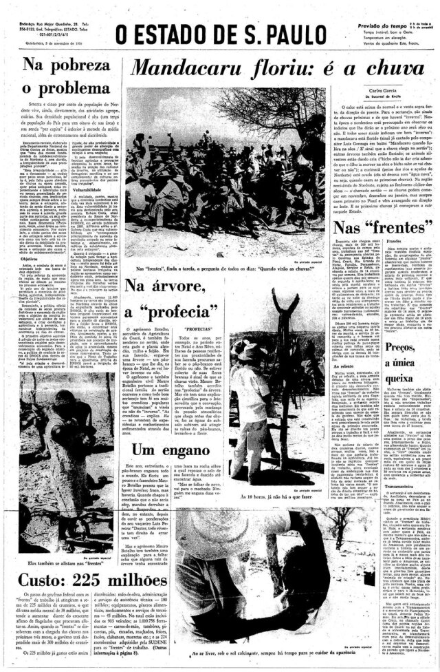 Acervo Estadão Mandacaru floriu: é chuva. Estadão 5/11/1970.
