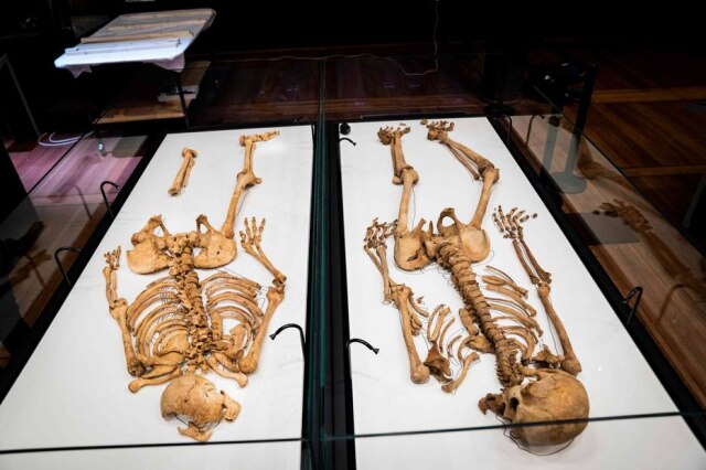 Ida Marie Odgaard / Ritzau Scanpix / AFP Um mapeamento de DNA dos esqueletos da era Viking (entre os séculos 8 e 12) revelou, por acaso, que eles eram parentes de segundo grau.