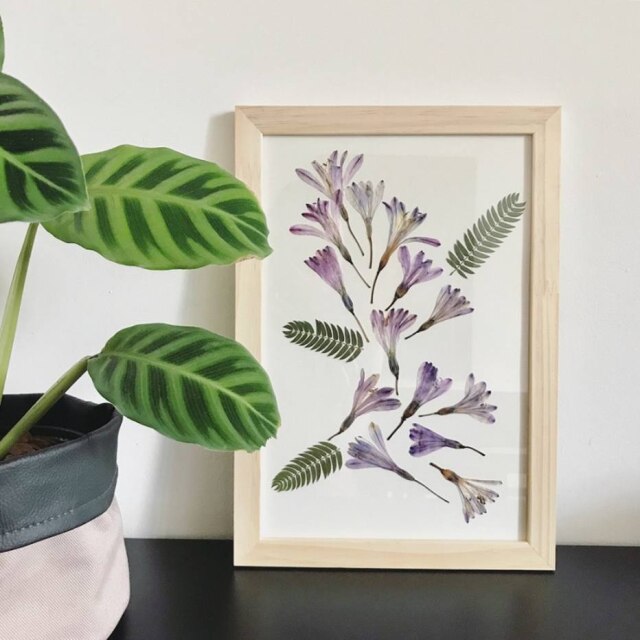Verdifique Plantas Técnica de prensagem feita com agapanthus pela paisagista Virgínia Fraiz