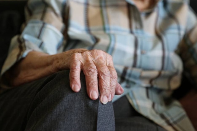 Pixabay/coqueambrosoli0 A matriarca de uma das maiores famílias na Inglaterra morreu aos 98 anos