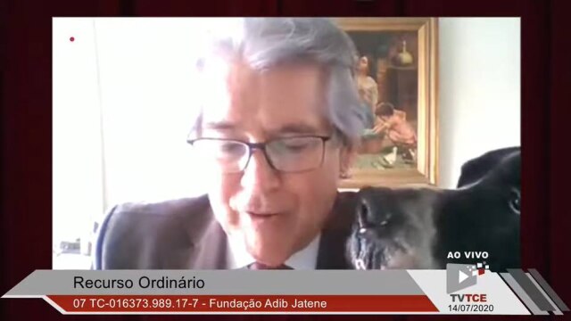 TCE-SP / YouTube O cachorro Bravo 'invadiu' a sessão do TCE-SP para lamber o tutor