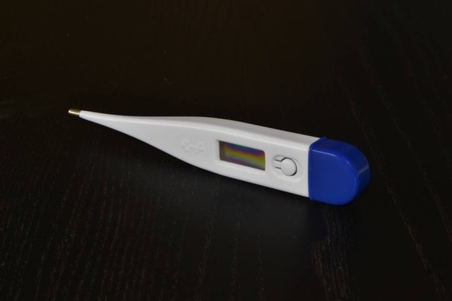 densaniebla/Pixabay O termômetro usado para percepção da fertilidade deve ser de duas casas decimais por ser mais preciso.