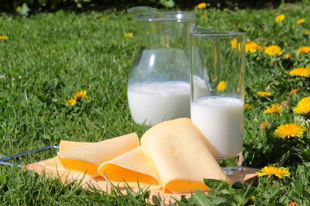 Myriams-Fotos/Pixabay Leite e derivados são os alimentos com a maior quantidade de cálcio.