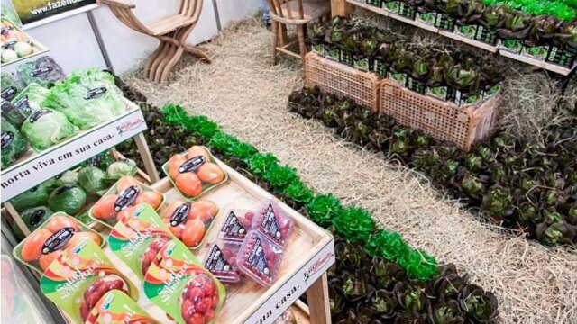 Divulgação Copa terá quiosques e kit lanche orgânicos