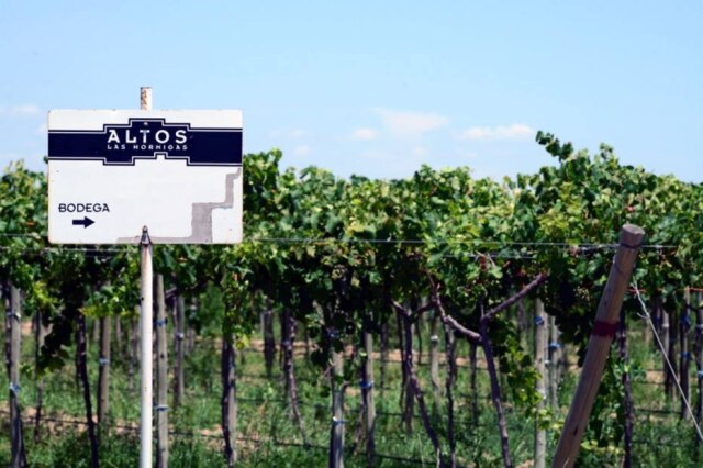Horacio Paone|NYT Vinícola Altos Las Hormigas pretende fazer vinhos expressivos.
