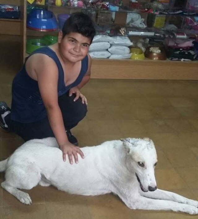Pessoas vendendo cachorro