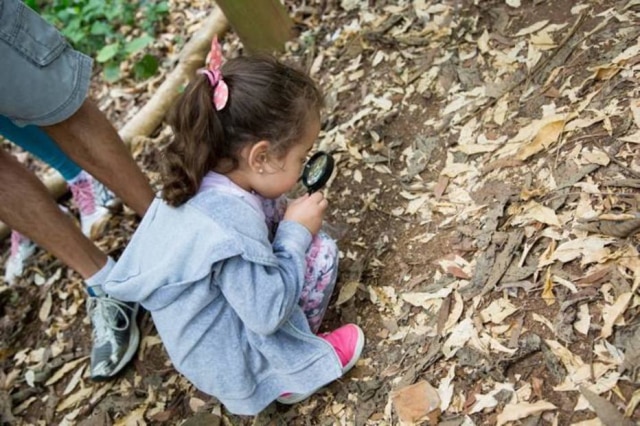 Divulgação / SlowKids Parque Villa-Lobos recebe a 10ª edição do SlowKids, em São Paulo.